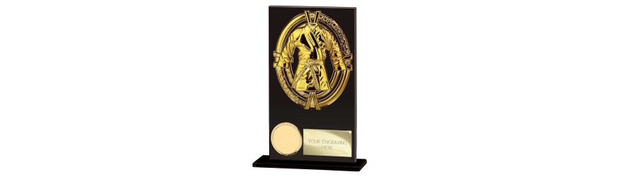 FUSION MAVERICK MARTIAL ARTS GLASS TROPHY - 5 SIZES - 12.5CM - 20CM FUSION MAVERICK MARTIAL ARTS GLASS TROPHY - 5 SIZES - 12.5CM - 20CM